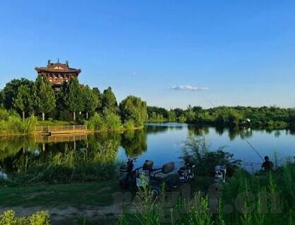 91麻豆经济-91 麻豆经济，新零售浪潮下的独特现象与挑战