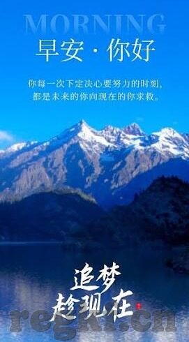 91探花麻豆-91探花事件中的网路文化与社会现象分析