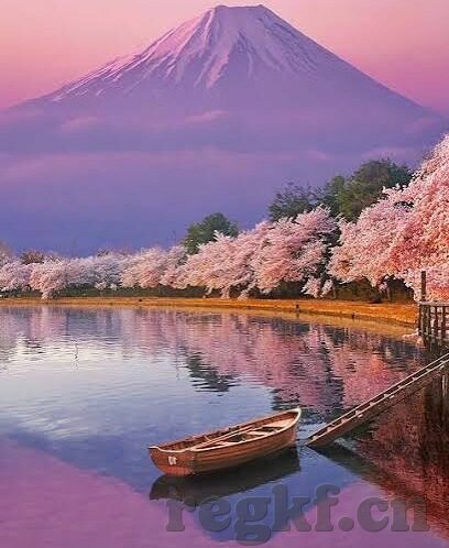 97成人在线视频-成人在线视频，97时代的网络文化与影响