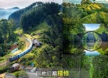 大象91传媒-探索大象91传媒的多元化发展之路