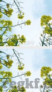 国产剧情视频一区二区麻豆-国产剧情视频的多元化探索，一区二区与麻豆的启示