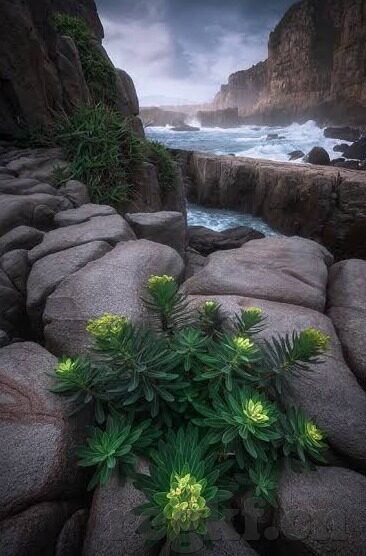 果冻传媒网页-探索果冻传媒网页，创意与技术的完美融合