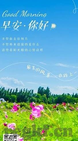 麻豆传媒免费在线视频-麻豆传媒视频内容的多面解析