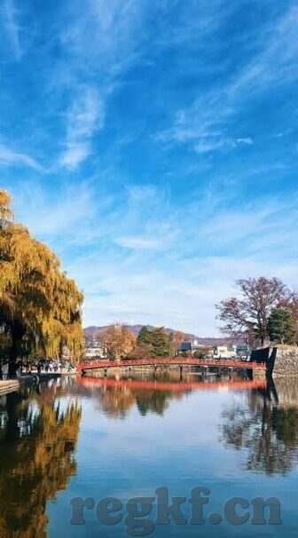 麻豆传媒映画公司-浮世绘，麻豆传媒映画公司的光影之旅