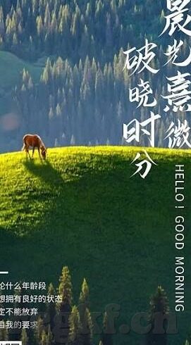 麻豆传媒直播官网-麻豆传媒直播，探究数字化时代的新兴传播现象