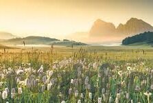 麻豆影视的app-麻豆影视APP，观影新体验的数字窗口