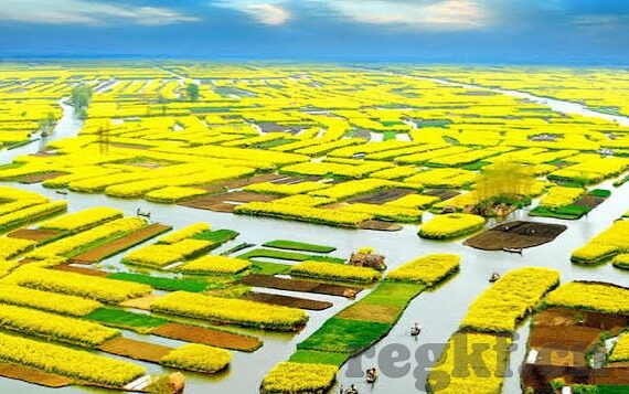 糖心app引导网站大全-科技新风，独家揭秘糖心app引导网站的全面指南