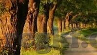 糖心vlog污没有升级版-希望大家能与我们一起，在有趣的、不放纵的网络世界里共享生活点滴!